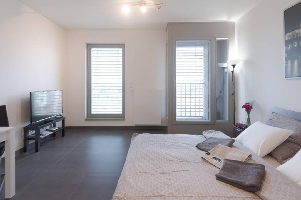 Bright Studio, 10min To The Centre, Free Parking * 布拉格